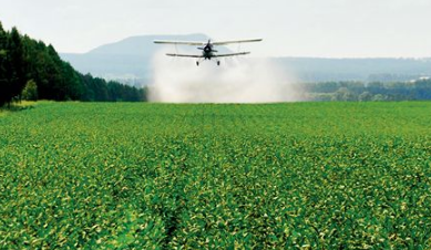 中寧縣實施品牌帶動戰(zhàn)略促進現代農業(yè)提質增效