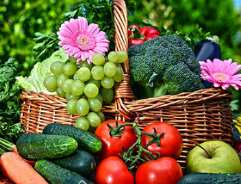 山東前7個月農(nóng)產(chǎn)品進出口破千億元