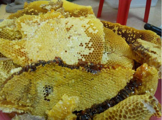 學(xué)會這幾點，就不怕你挑不到真蜂蜜!