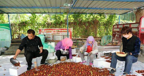 “棗鄉(xiāng)郵路”正式開通發(fā)車 “臨”字號農(nóng)產(chǎn)品“飛”往全國