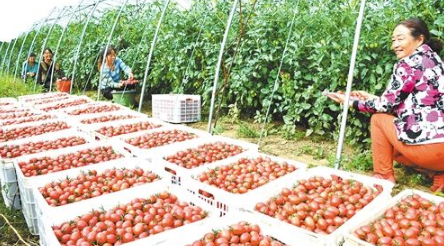 山西陽(yáng)高打造