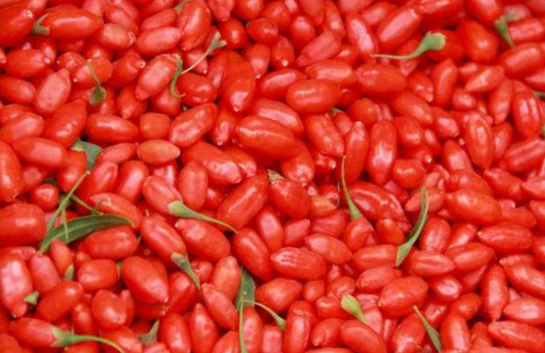 六大產(chǎn)區(qū)枸杞大PK，誰才是你心中的第一?