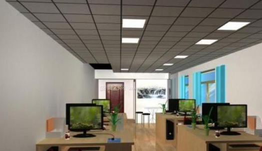 辦公室風(fēng)水植物 辦公室選擇綠色植物的幾個(gè)依據(jù)