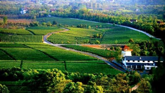 現(xiàn)代農(nóng)業(yè)+生態(tài)旅游，棘洪灘以產(chǎn)業(yè)轉(zhuǎn)型升級(jí)促鄉(xiāng)村振興