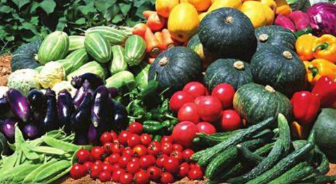 新疆農(nóng)產(chǎn)品快速通關(guān)“綠色通道”健康運營