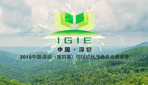 2018第四屆深圳博覽會現(xiàn)場紀(jì)實