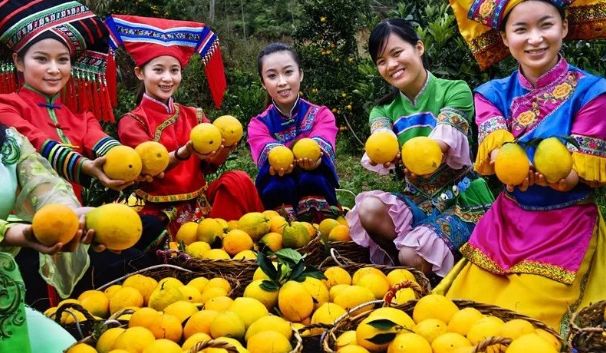 【每周優(yōu)品】一不小心就愛上了它，想不到你是這樣的德保臍橙?。?！