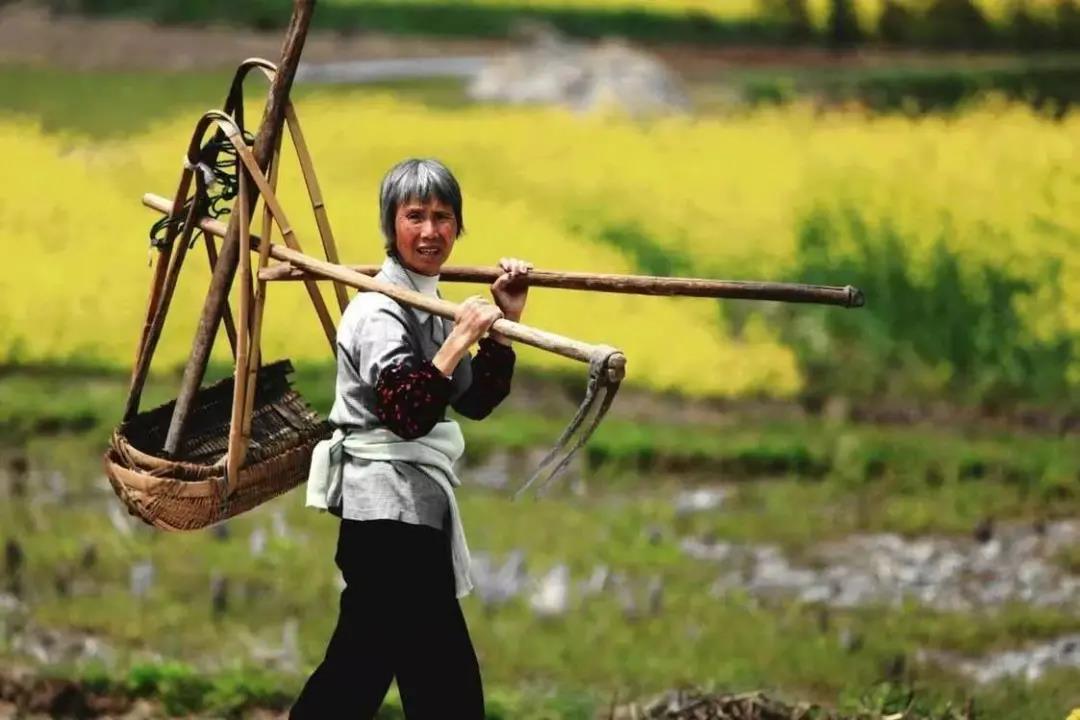 【農(nóng)業(yè)雜談】未來(lái)10年農(nóng)業(yè)改革，將使一半的農(nóng)民成為農(nóng)業(yè)產(chǎn)業(yè)工人