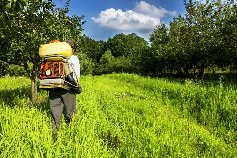 【農(nóng)業(yè)雜談】農(nóng)業(yè)即將迎來(lái)驚天巨變！你準(zhǔn)備好了嗎？