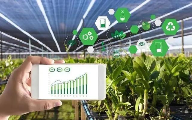 【農(nóng)業(yè)模式雜談】糧食業(yè)數(shù)字化轉(zhuǎn)型，轉(zhuǎn)什么？怎么轉(zhuǎn)？答案來了