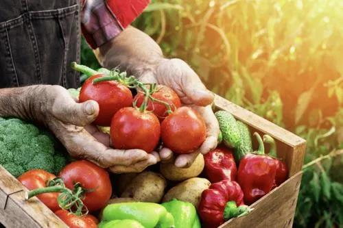 【農(nóng)業(yè)模式雜談】生鮮行業(yè)的10大痛點(diǎn)