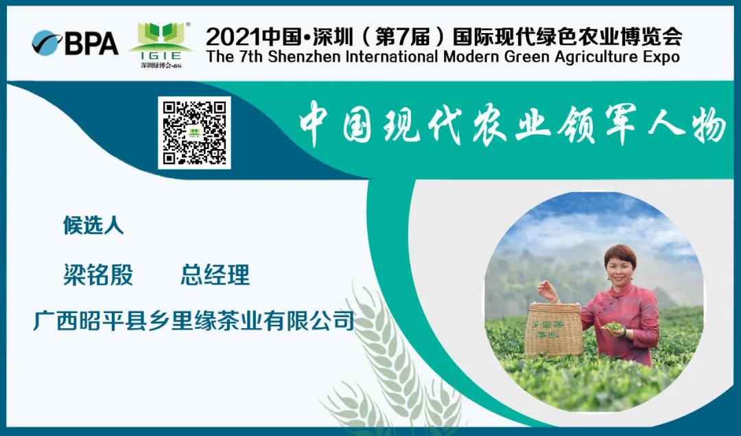 【現(xiàn)代農(nóng)業(yè)領軍人物】梁銘殷——為貧困縣脫貧摘帽做出積極的貢獻。