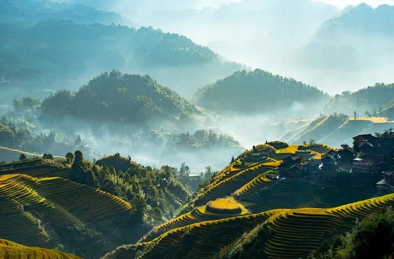 【展商風(fēng)采】龍勝特色高山農(nóng)產(chǎn)品走進(jìn)深圳綠博會