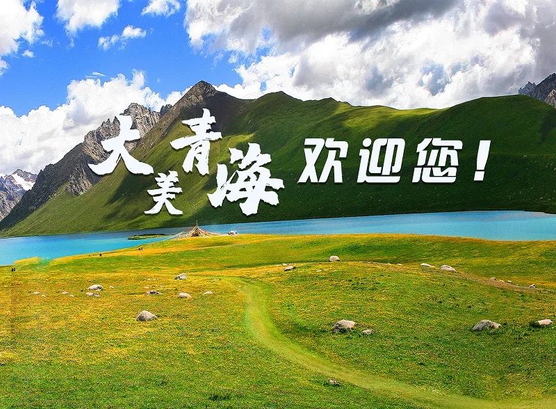 【綠博會(huì)動(dòng)態(tài)】青海省貿(mào)促會(huì)國際商會(huì)秘書長金曉亮一行蒞臨深圳綠博會(huì)組委會(huì)考察