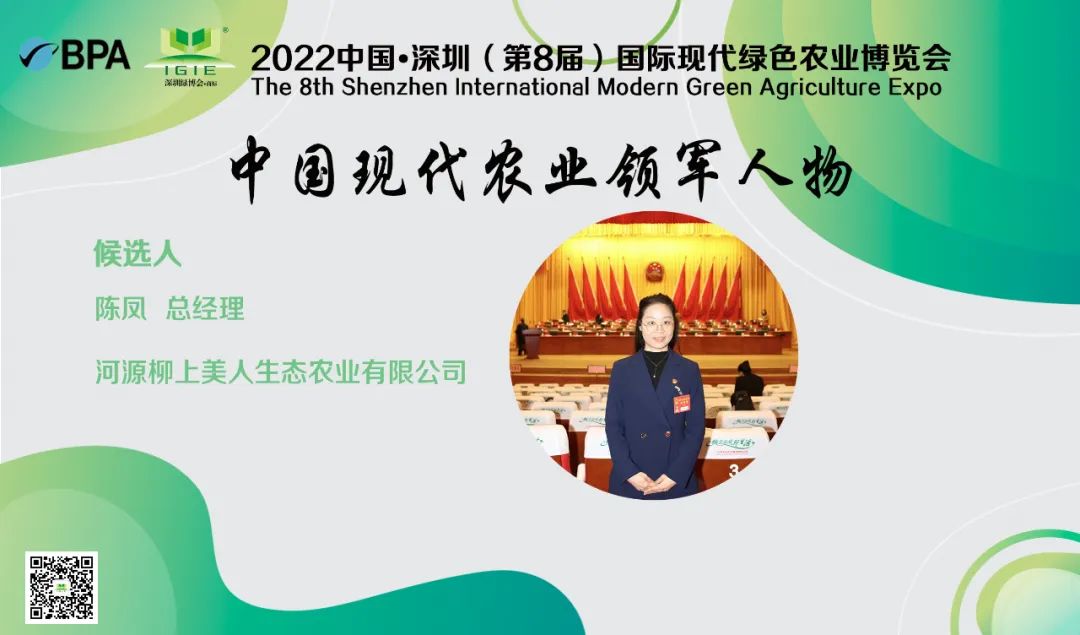 【現(xiàn)代農(nóng)業(yè)領(lǐng)軍人物】陳鳳——帶動村民種茶致富