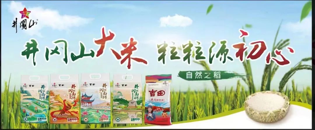 【每周優(yōu)品】在珍稀紅粘沙土中生長(zhǎng)，以山泉水灌溉，質(zhì)地雪白明亮，口感香甜松軟的井岡山大米