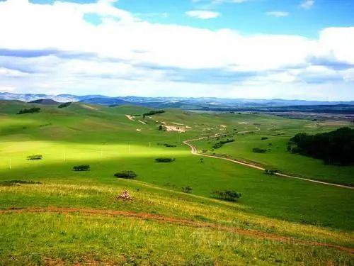 【農(nóng)業(yè)資訊】未來農(nóng)業(yè)新方向！如何以低碳帶動(dòng)農(nóng)業(yè)綠色轉(zhuǎn)型