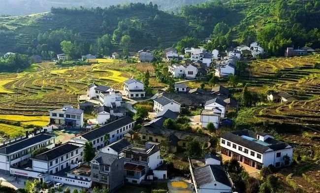 【農(nóng)業(yè)資訊】未來已來！鄉(xiāng)村振興的意義和未來發(fā)展