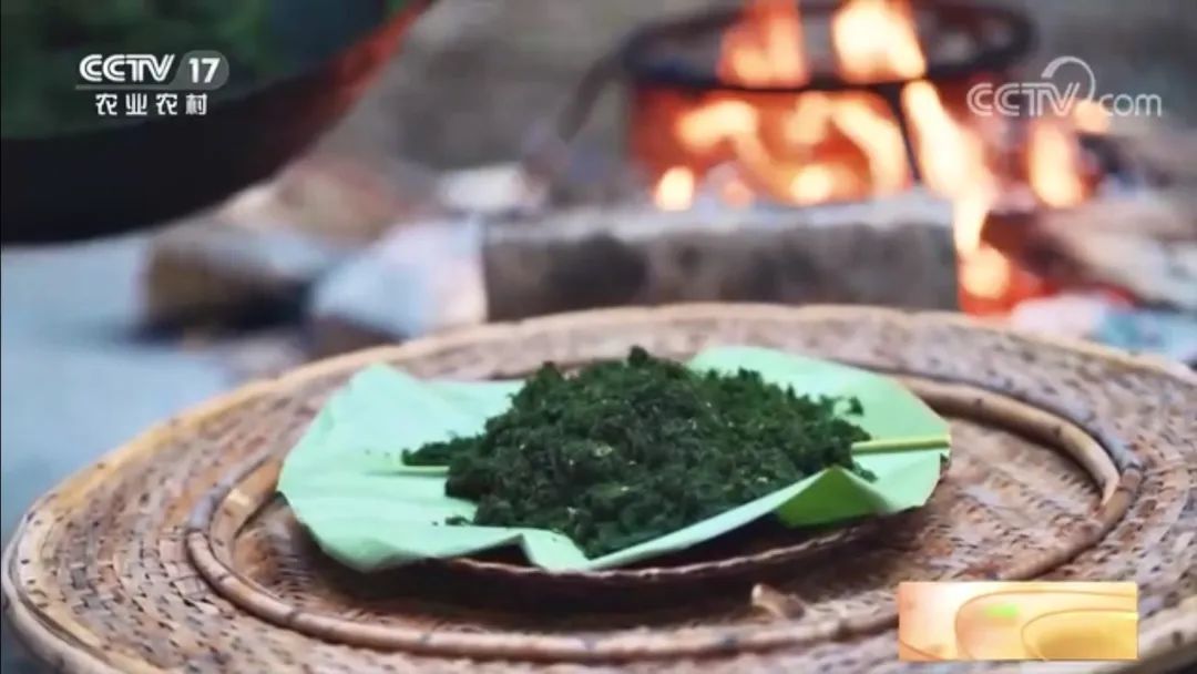 【綠色好心情】別拿青苔不當(dāng)美食！絕對(duì)夠鮮、夠野、夠特別