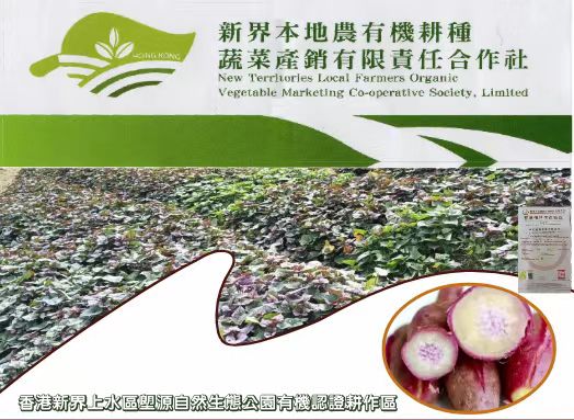 【每周優(yōu)品】香港本地紅薯——好吃不貴，營養(yǎng)豐富！