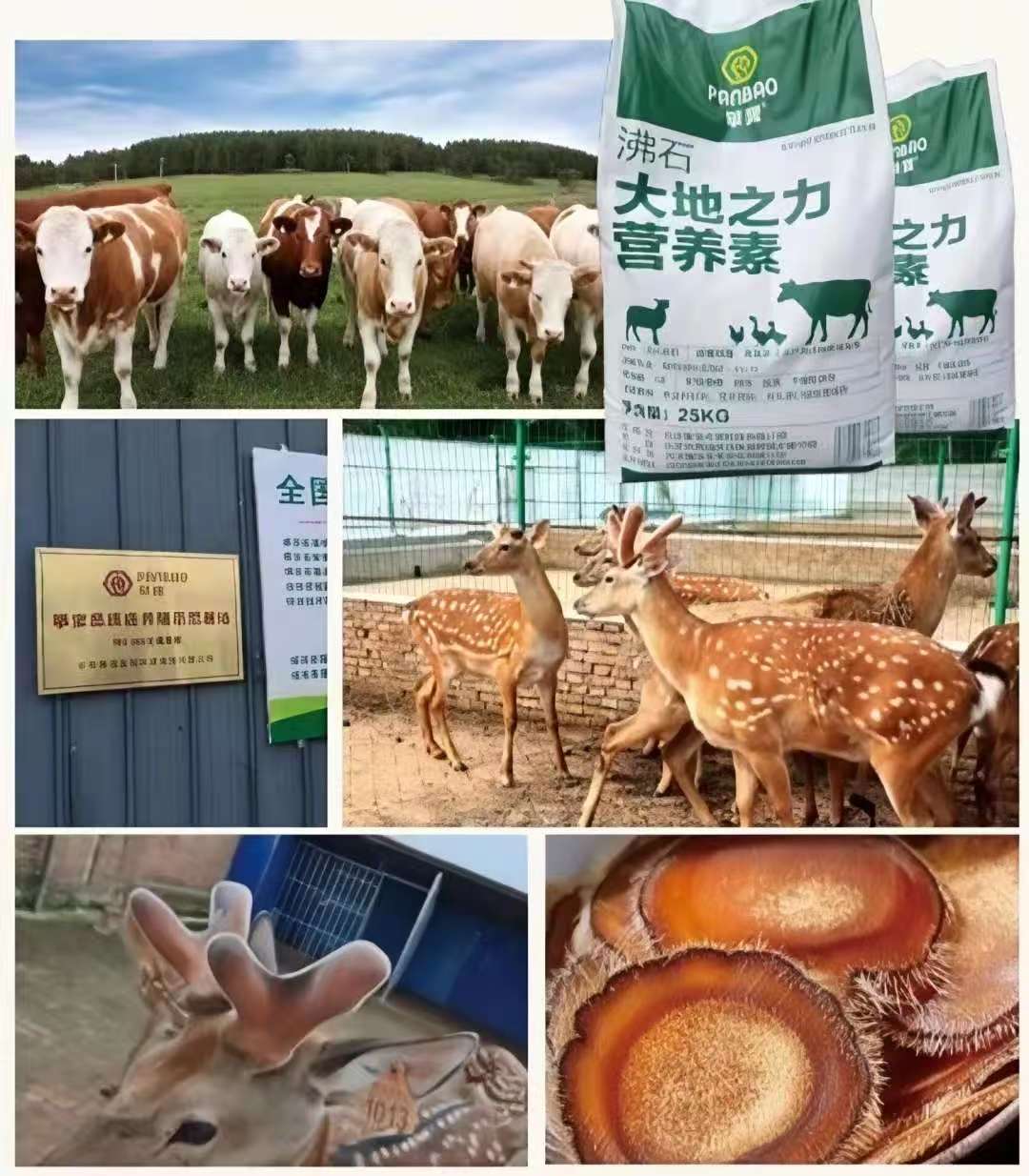 【每周優(yōu)品】攀寶 沸石·大地之力營(yíng)養(yǎng)素——新興海陸健康養(yǎng)殖的科技基石