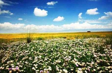 巴里坤：休閑觀光農(nóng)業(yè)游成游客好去處
