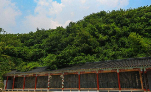 夯實(shí)綠色生態(tài)游