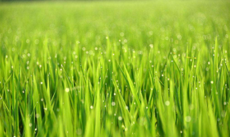 賈慶毅：“旅游+農業(yè)”成為新常態(tài) 讓健康有機新生活深入人心