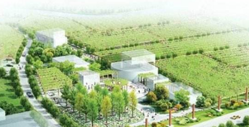 河北石家莊發(fā)展現(xiàn)代農(nóng)業(yè)產(chǎn)業(yè)園：園內(nèi)園外漫溢現(xiàn)代范兒