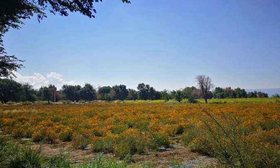 烏魯木齊“鄉(xiāng)村旅游+”加出新供給