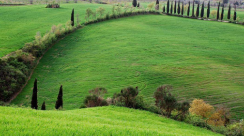 特色農(nóng)業(yè)加旅游 帶旺美麗鄉(xiāng)村