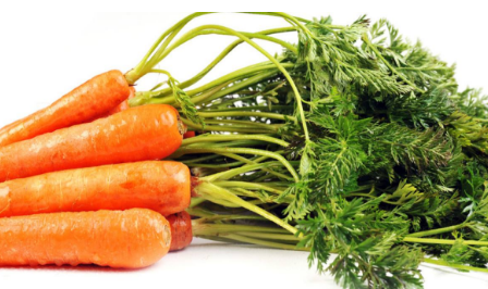 綠色食品胡蘿卜如何種植呢