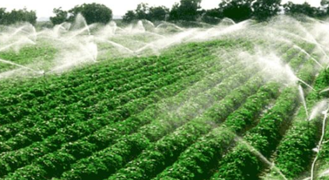 “互聯(lián)網(wǎng)+”農(nóng)產(chǎn)品出村工程將實(shí)施 數(shù)字農(nóng)業(yè)建設(shè)提速