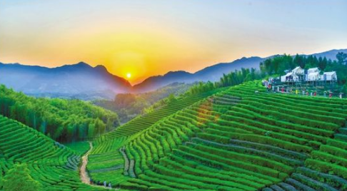 “農(nóng)業(yè)+旅游”模式 建設(shè)富裕美麗鄉(xiāng)村