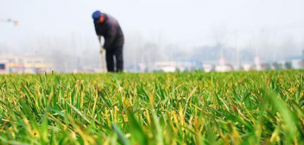 【改革開(kāi)放40年】張掖市農(nóng)業(yè)環(huán)境保護(hù)工作成效顯著