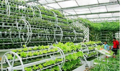 泉州市上半年在建現(xiàn)代農(nóng)業(yè)項目66個 投資7.12億元