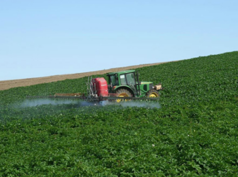 黑龍江推動(dòng)休閑農(nóng)業(yè)發(fā)展