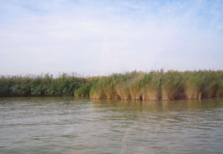 銀川匠心打造“旅游+”特色之旅