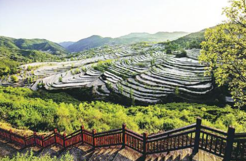 安康白河卡子鎮(zhèn)：農(nóng)業(yè)旅游融合，傳承弘揚農(nóng)耕文化