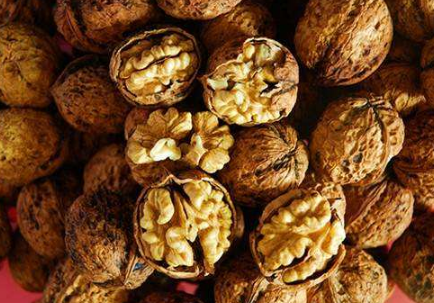 神秘奇異雞飛溫泉!一縣一品公益助農(nóng)，云南昌寧特色農(nóng)產(chǎn)品核桃