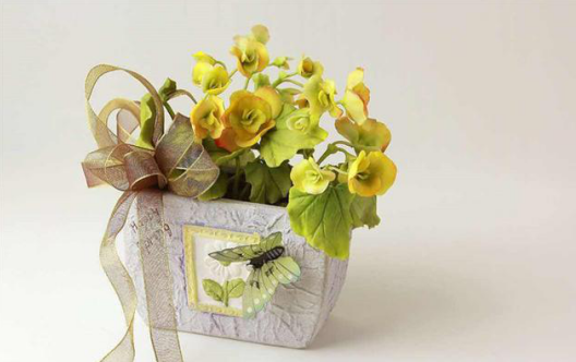 桌面植物護(hù)養(yǎng)的生活小技巧，讓綠色充盈你的生活，就是那么簡(jiǎn)單