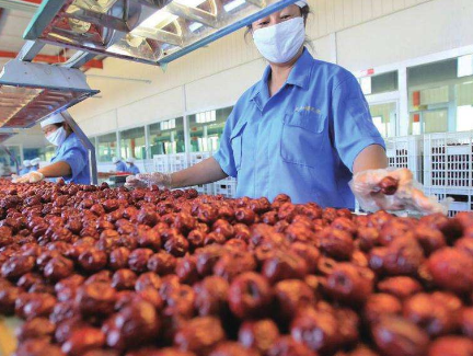 我國推動(dòng)農(nóng)產(chǎn)品加工業(yè)發(fā)展升級 為農(nóng)產(chǎn)品賦予“二次生命”